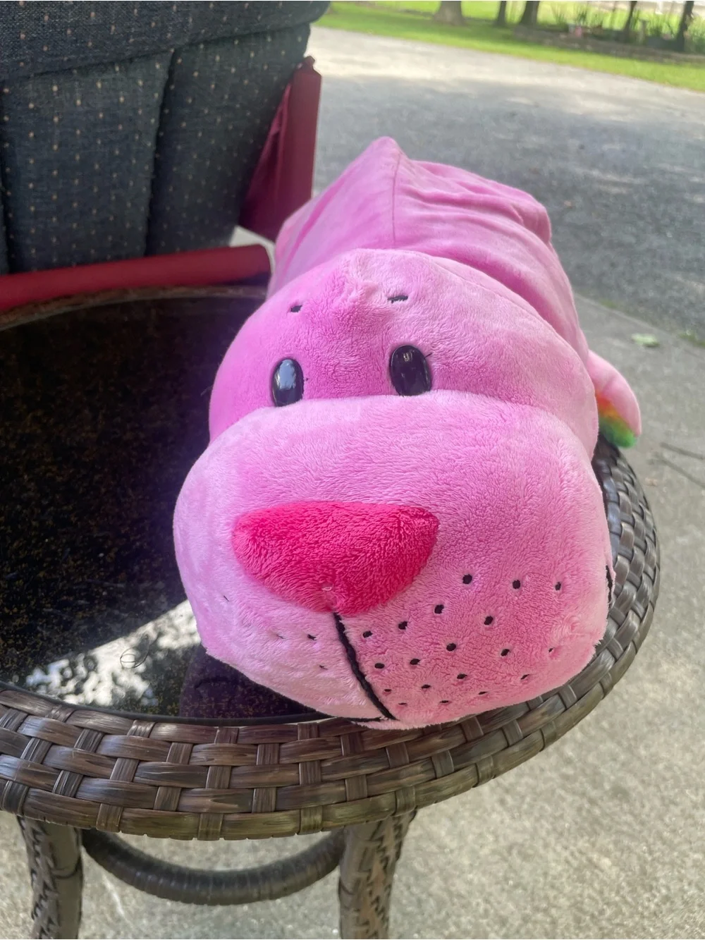 Rainbow Plush Toy for Small Pets - Multicolor
